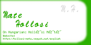 mate hollosi business card